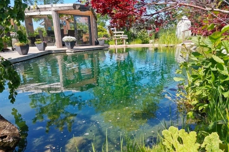 Teichbau